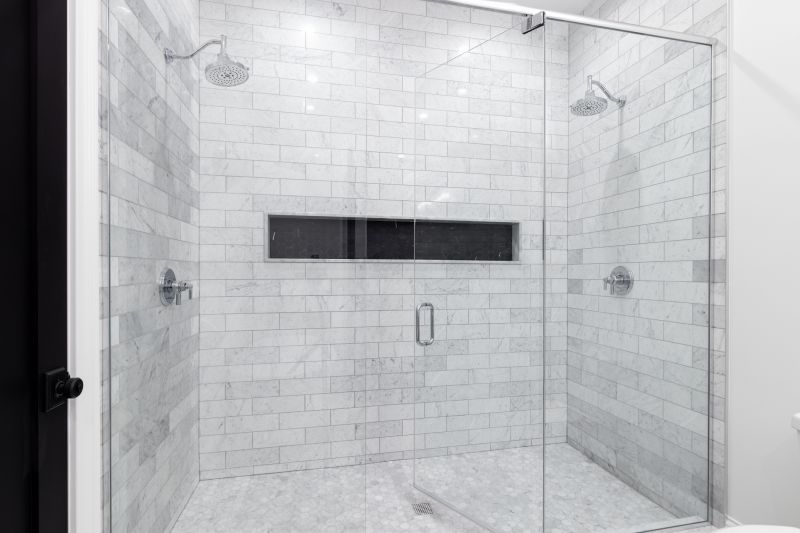 Elegant Shower with Frameless Door